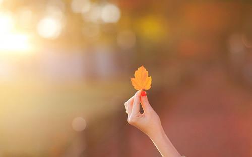 聚英考研网 聚英考研网