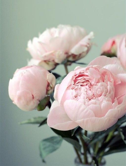 在职考研：管理类联考之初等数学四大题型