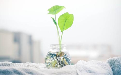 聚英考研网考研政治记忆方法