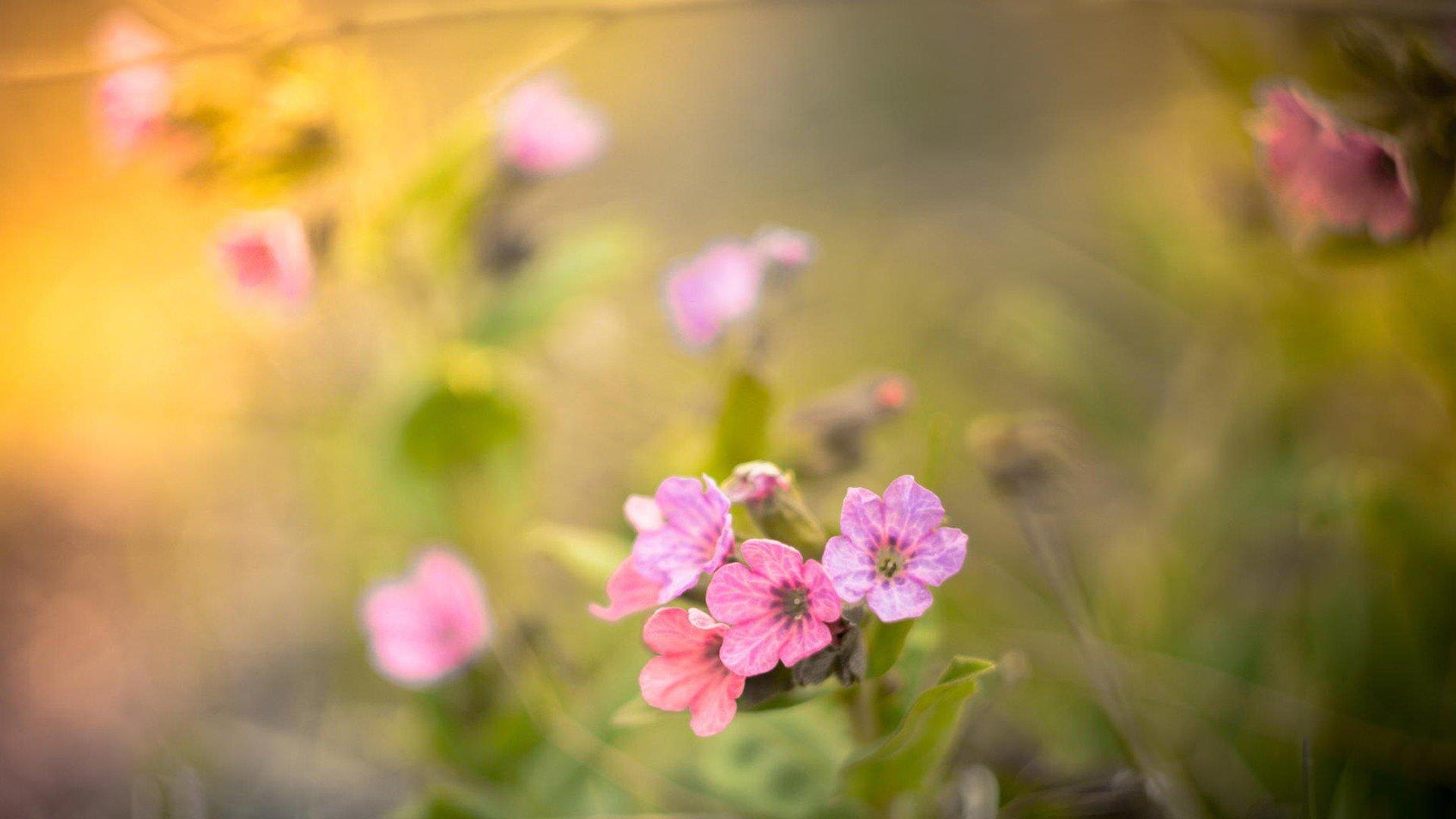 【每日考研词汇】湳哥带你背单词 Day 20【essential】