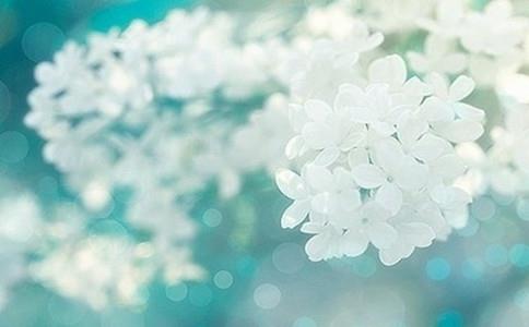 2017翻硕考研必知的英汉七大差异 2017翻硕考研必知的英汉七大差异