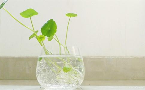 考研信息网：翻译硕士最新热词