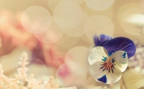 &emsp;&emsp;2017法硕考研冲刺必背知识点之民法学名词！ 