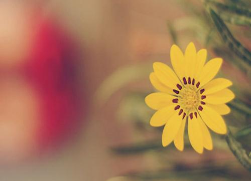 2017法律硕士考研：法理学考点解析