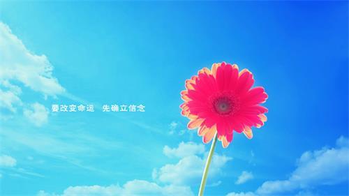 政治备考|阿尔温·古尔德纳重点名言考点解析