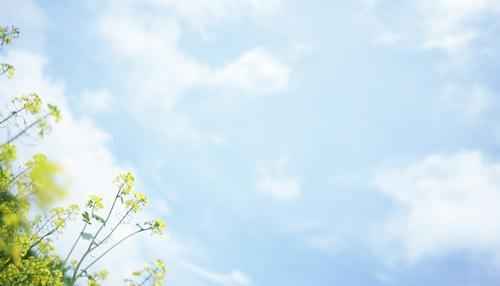 2017考研：人大金融硕士431金融学综合考研经验分享