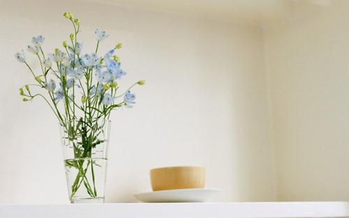 2017年考研：盘点会计硕士分数线最低的高校