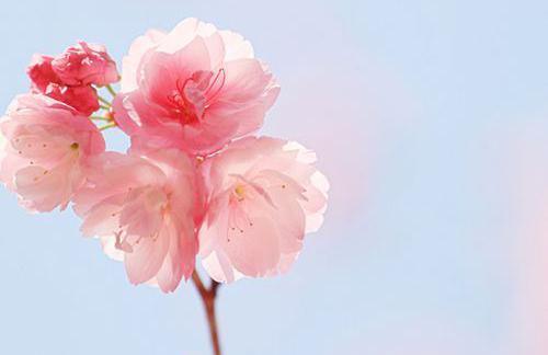 2018考研考研文科类专业课答题技巧解析