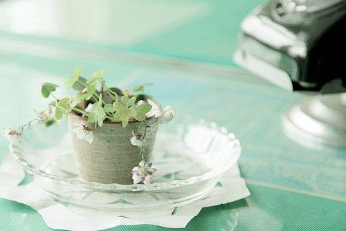 南京大学法硕学长考研经验及复习指南