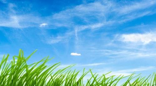 考研专业课一直记不住？用这4个高效法试试！