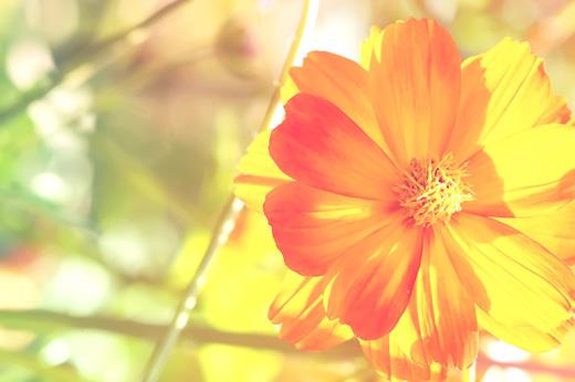 2018翻译硕士（MTI）考研备考全年详细计划