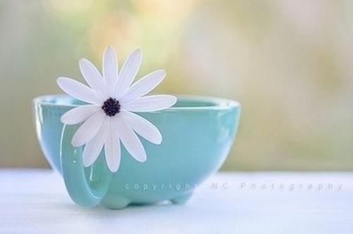 2018考研专业课复习全年复习规划！请收藏！