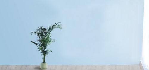 2018法硕考研：八个专业课复习诀窍