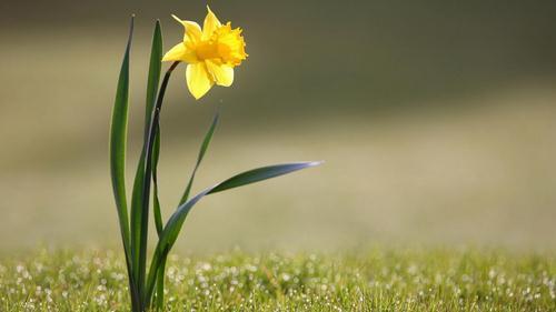 2018考研：专业课复习这样开始复习就对了