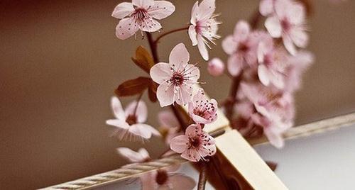 2018年考研复习避免5件扯后腿的事儿