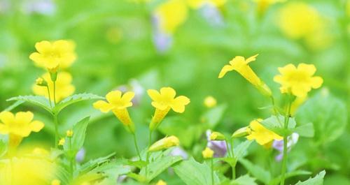 3件事教你考研如何正确择校择专业