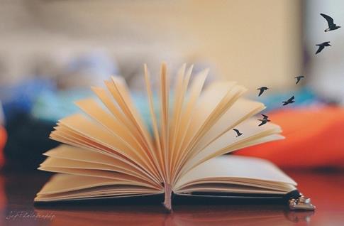 2018考研政治:三大战役知识点总结