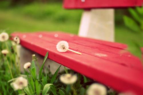 2018考研：管理类联考论说文论据如何选择与应用？