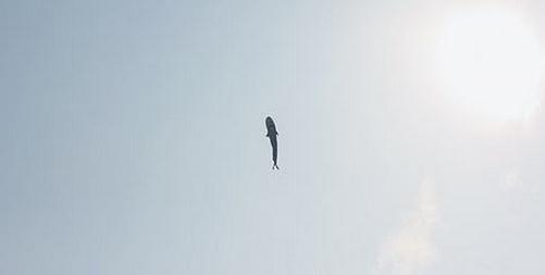 18考研：不知道专业课怎么复习？来看看这个