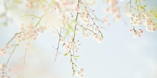 2018管综数学:零基础考生如何逆袭？