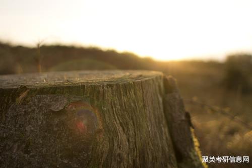 聚英考研信息网 聚英考研信息网